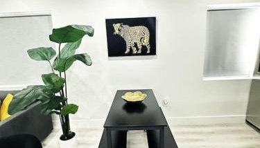 Stay Where Miami Comes Alive - Foto 3