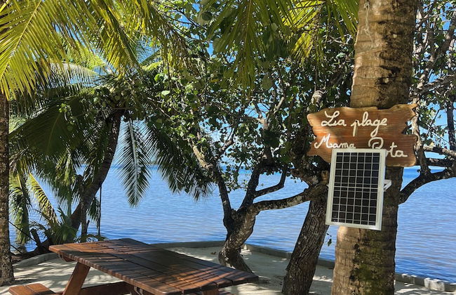 Fare Mama Rota - Photo 42