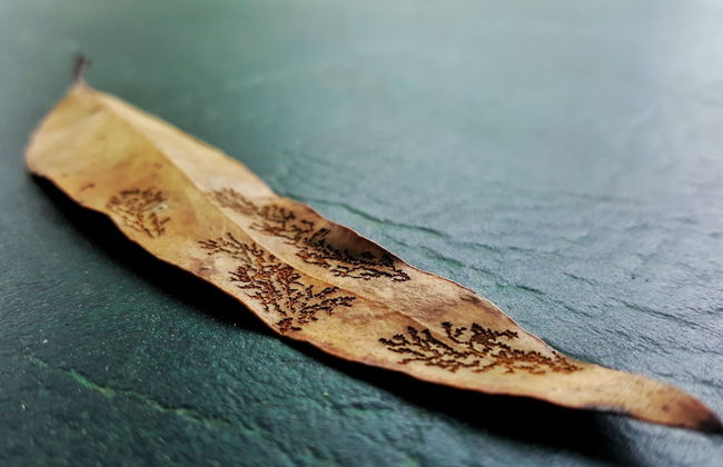 Maya Sanctuary - Foto 3