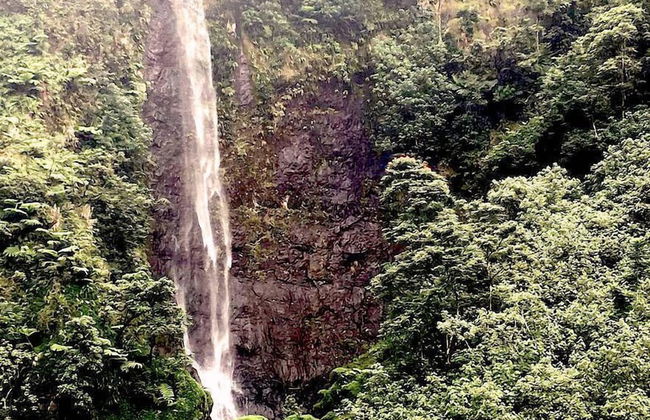 Bounty Lodge - Photo 67