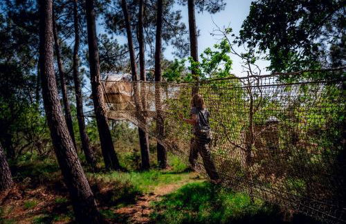 Dihan Evasion - Foto 80