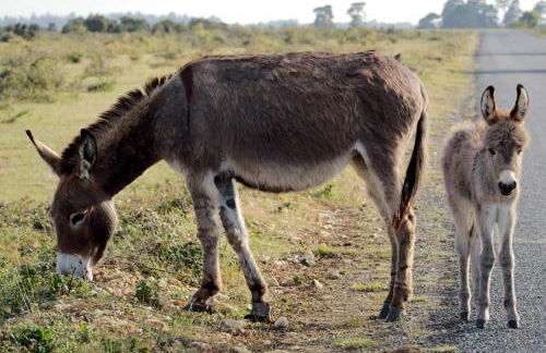 Beautiful 3 bed cottage in Lymington. Perfectly located for Coast and New Forest - Foto 28