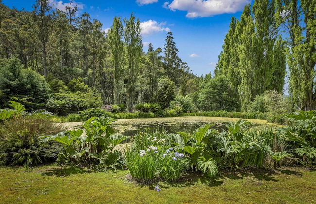 Magical Lucindale - 4 Bedroom House - Foto 27