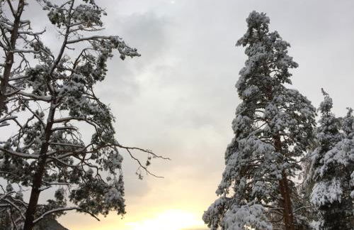 Oberprantschöllhof - Horse Mountain Stable - Foto 6