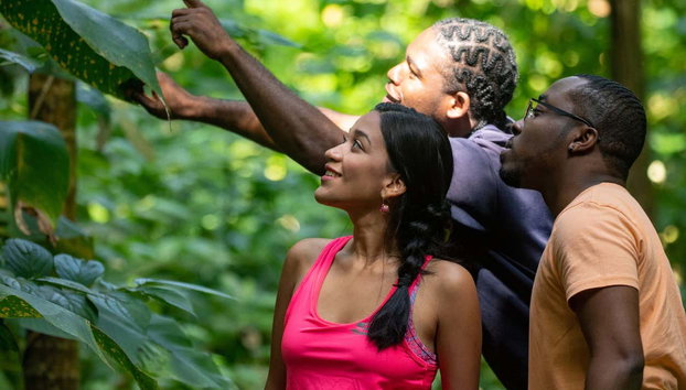 Castries Waterworks​ Bird Watching - Photo 4, The guide will tell you everything about the birds we see