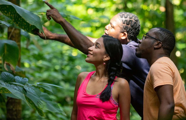 Avistamiento de aves en Castries Waterworks - Foto 18