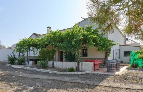 Alojamiento Rural Casilla Miguelin - Foto 25