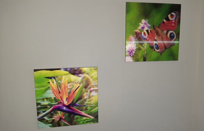 Apartment With Balcony, Neuss - Foto 16