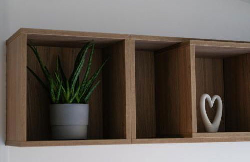 Racoon - Außergewöhnliches Tinyhauserlebnis beim Reptilienzoo Reptilium - Foto 34