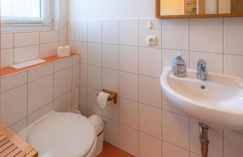 Sonnenblume_DH - Foto 17