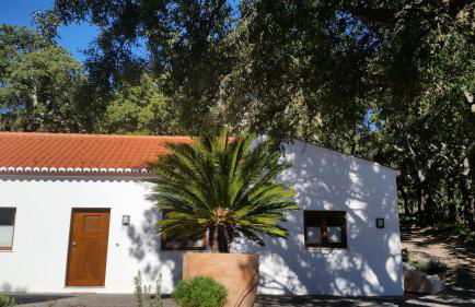 Casinha Laranja - Foto 7