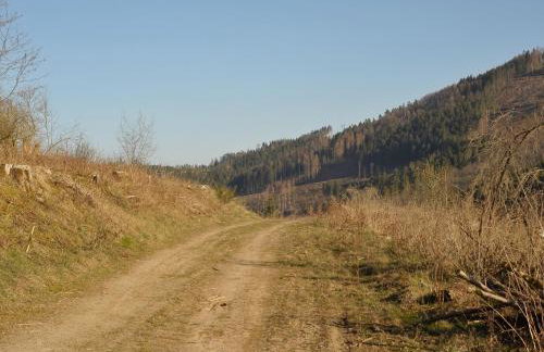Rothaarsteig Ferienhaus - Photo 40