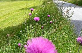 Ferienhaus Mauth - Photo 116