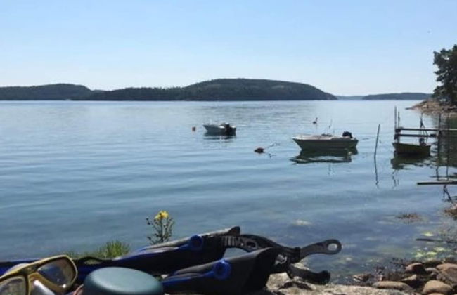 5 Star Holiday Home in Brastad - Photo 5