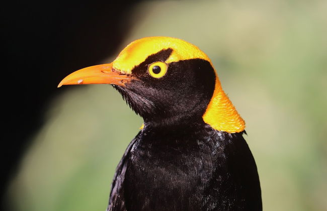 Bellthorpe Stays - Foto 35