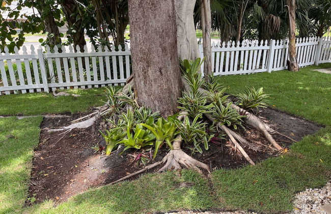 Seagrass Cottage - Foto 51