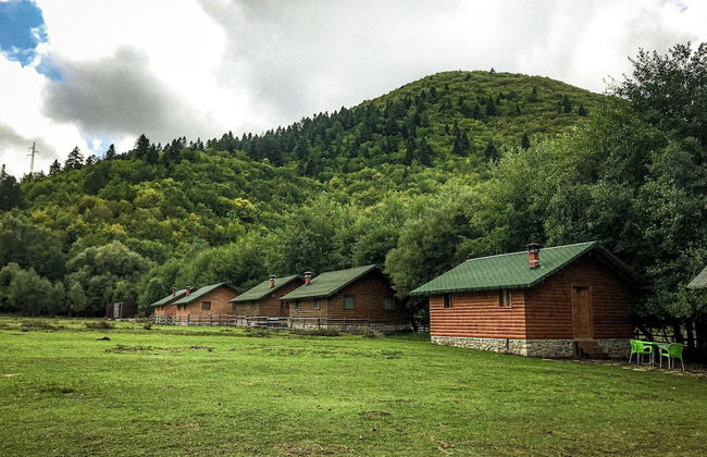 Farma Sotira - Foto 71