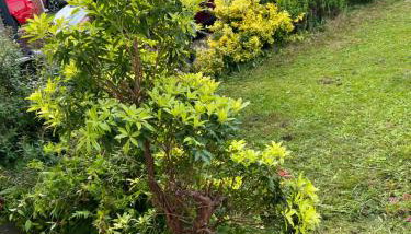 Affordable Suites - Photo 5