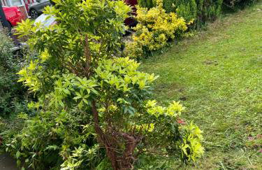 Affordable Suites - Foto 5