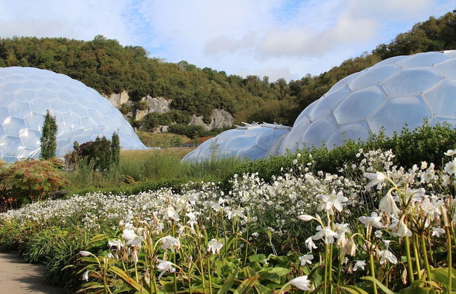 Trewhiddle Villa 29 - Foto 6