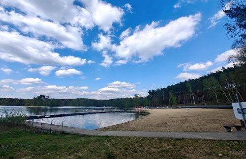 Leśna Ostoja w centrum Puszczy Nadnoteckiej otoczona 3 jeziorami - Foto 27