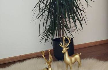 TATRA HOMES domek z jacuzzi - Foto 30