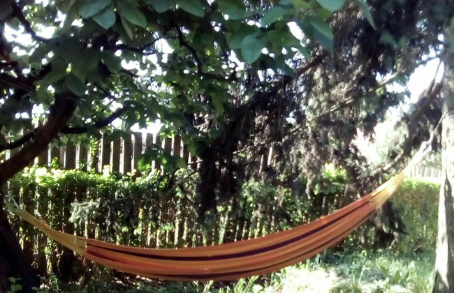 Potyka Apartman - Foto 18