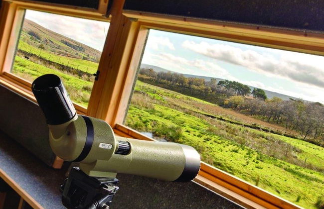 Nethergill Haylofts - Foto 10