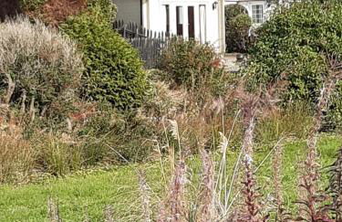 Springbank Cabin - Foto 16