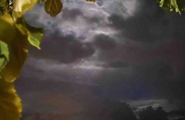 Camarina Sea View - Foto 17