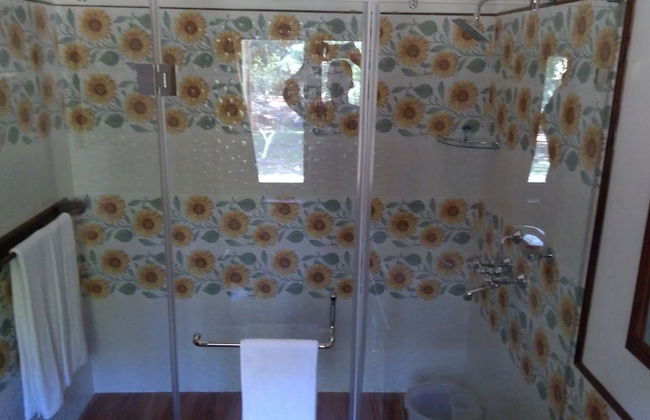 Wild Mahseer - Foto 27