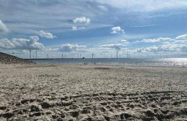 Holiday Home Near Beach Burgh-haamstede - Photo 38