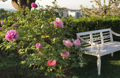 Residenza Ambrogi - Foto 41