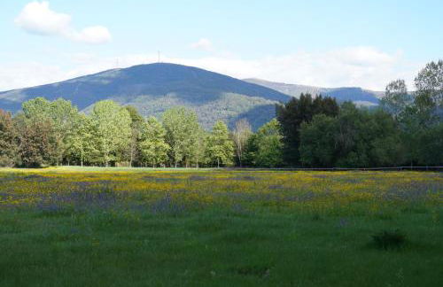 Quinta do Areal - Foto 36