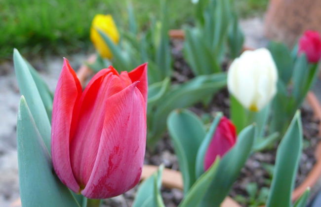 Cosy Holiday Home in Costoia With Private Pool and Garden - Photo 17