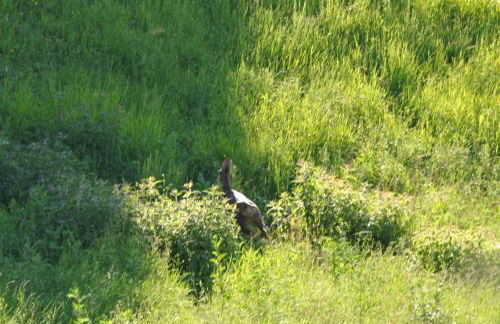 Agriturismo Le Dolci Colline - Photo 44