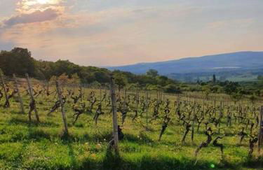 Ruhige Wohnung am Rande des Naturschutzgebietes - Foto 7