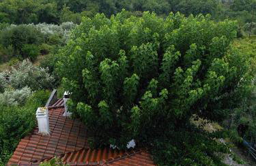 ELENI'S VILLAGE RELAXATION HOME - Photo 28