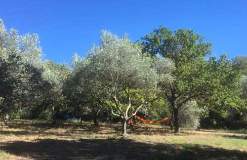 Ecolodge Au fil de l'eau, avec piscine intérieure et parc arboré - Foto 14