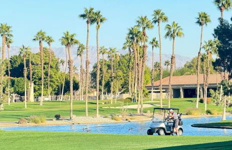 Desert Princess Serenity Suite - Foto 14