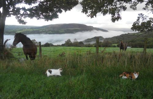 1 Tan Yr Eglwys Barn Cottage - Foto 14