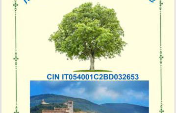 Assisi, la Noce - Foto 21