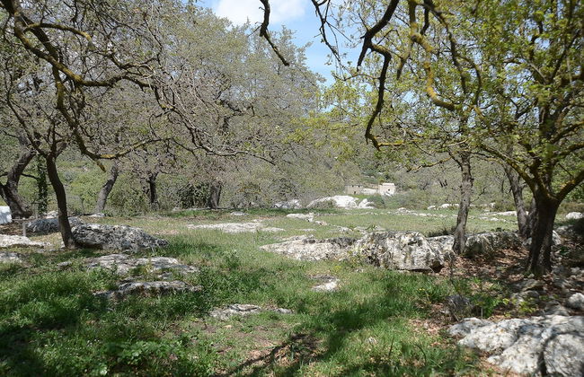 "sifakis Gorgeous Stone House" - Foto 18