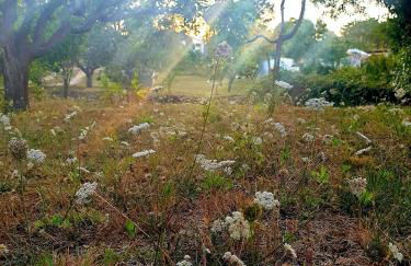 Sondela Self Catering - Foto 28