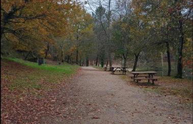 Casa do Penedo Gordo - Foto 35