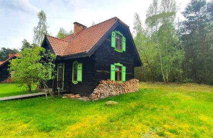 Czworaki Dworskie - Kiermusy - Foto 3