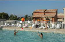 La Cigale d'Avignon - Foto 13