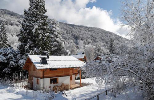 Prestigious Chalet - Foto 7