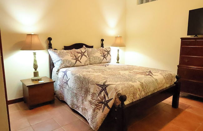 Tara Del Sol - Photo 38