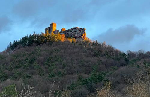Ferienhaus mit Trifelsblick - Foto 32